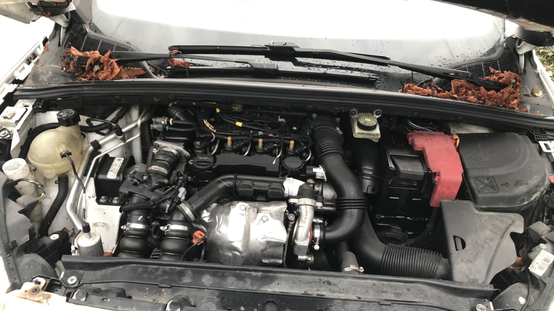 Image PEUGEOT 308 1