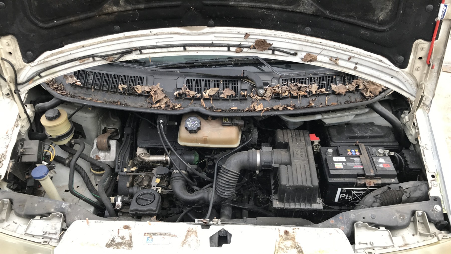 Image PEUGEOT EXPERT 1