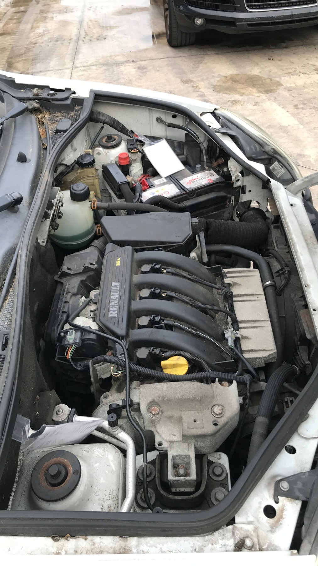 Image RENAULT KANGOO 1