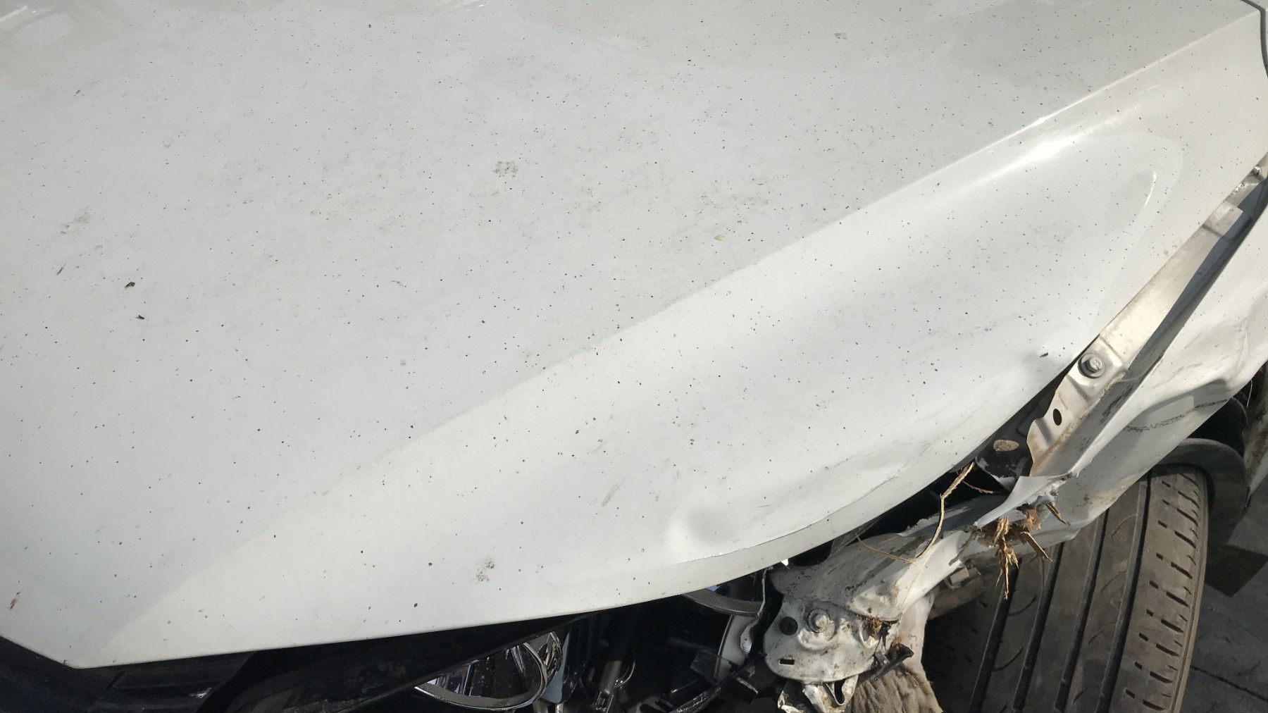 Image VOLKSWAGEN TIGUAN 1