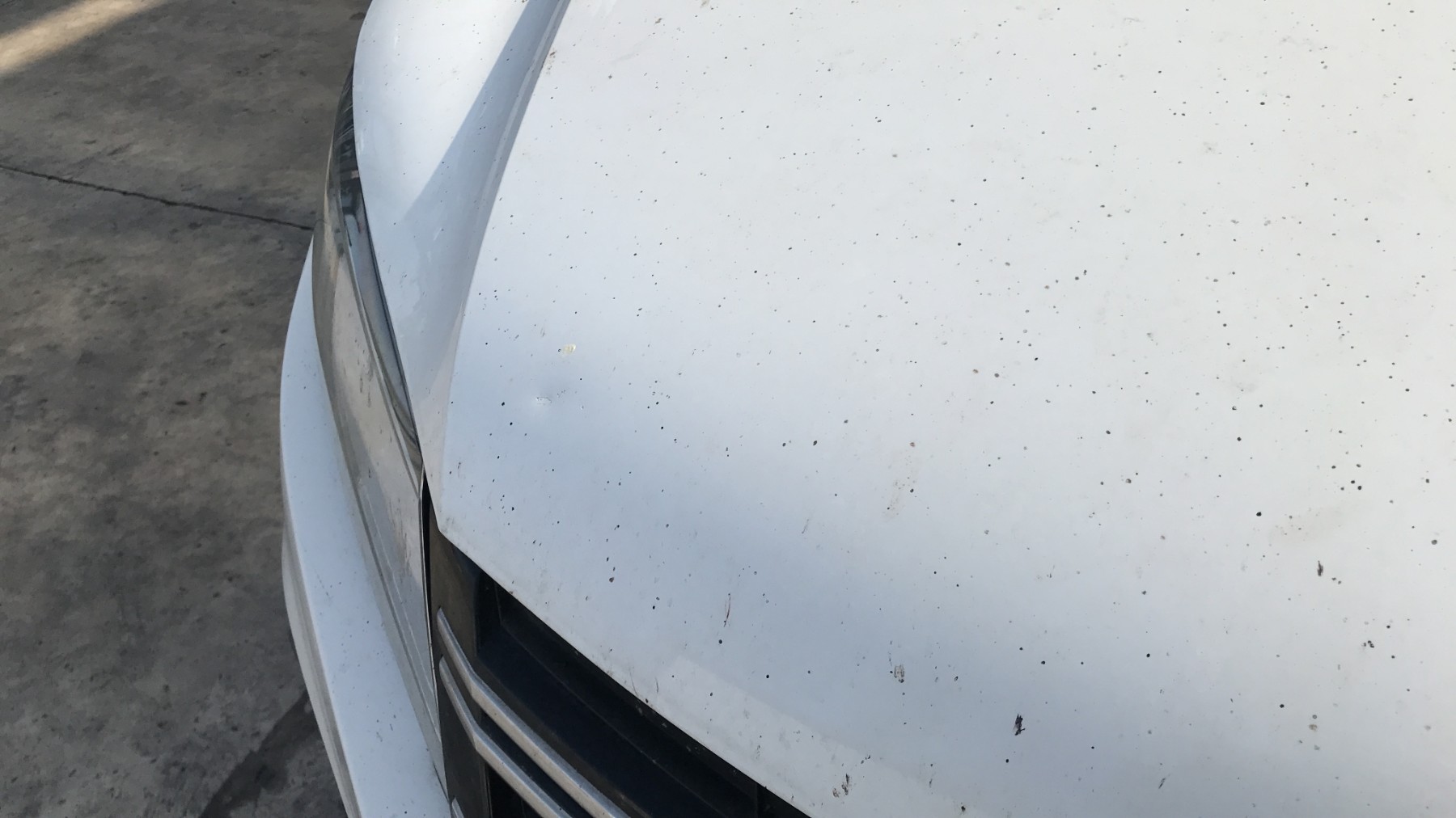 Image VOLKSWAGEN TIGUAN 1