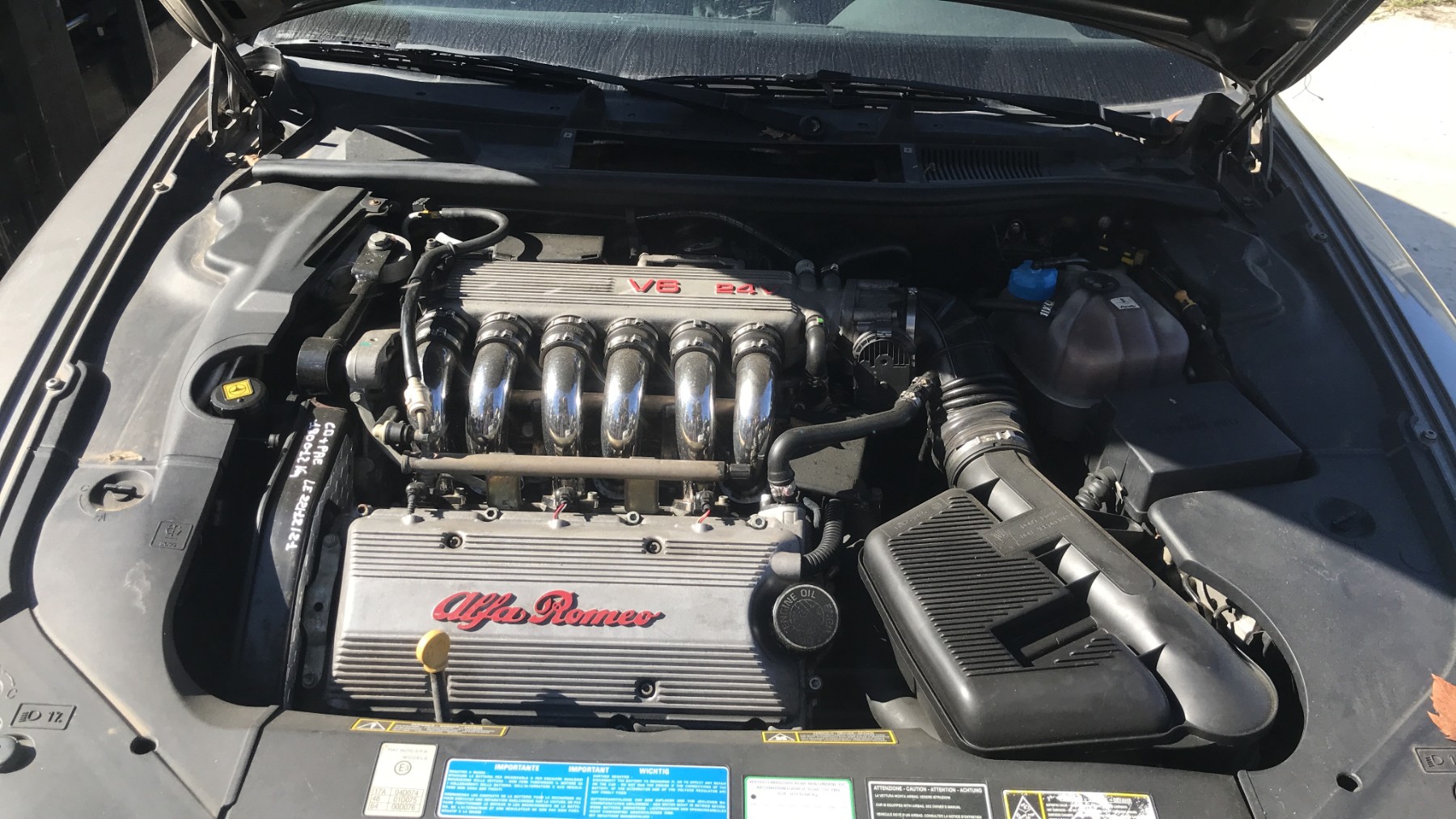 Image ALFA ROMEO 166