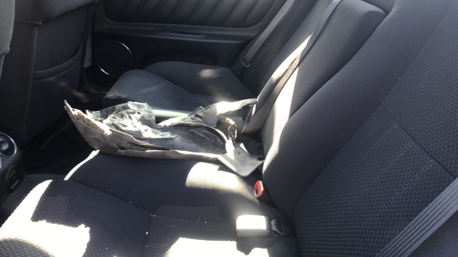 Image ALFA ROMEO 166