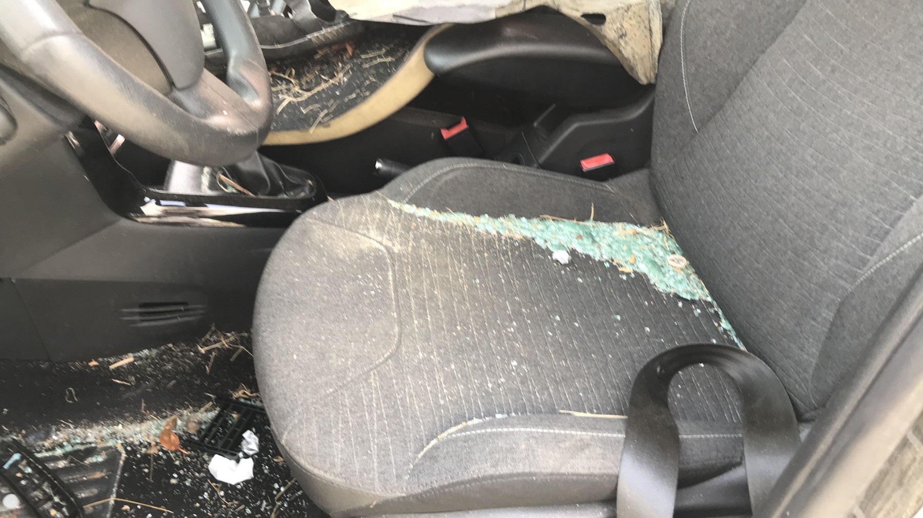Image CITROEN C3 2