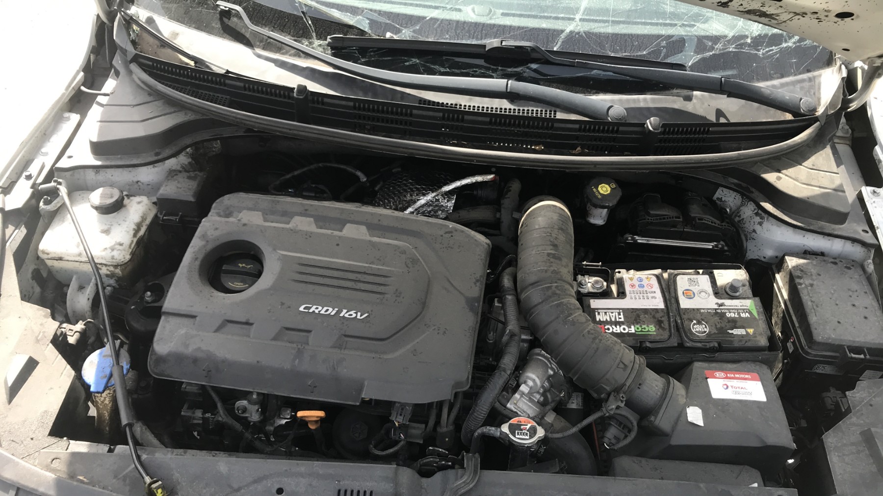 Image KIA RIO 4