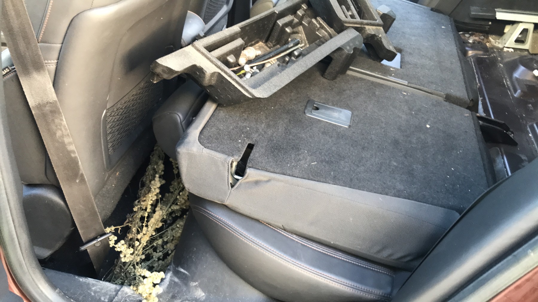 Image PEUGEOT 508 1 SW