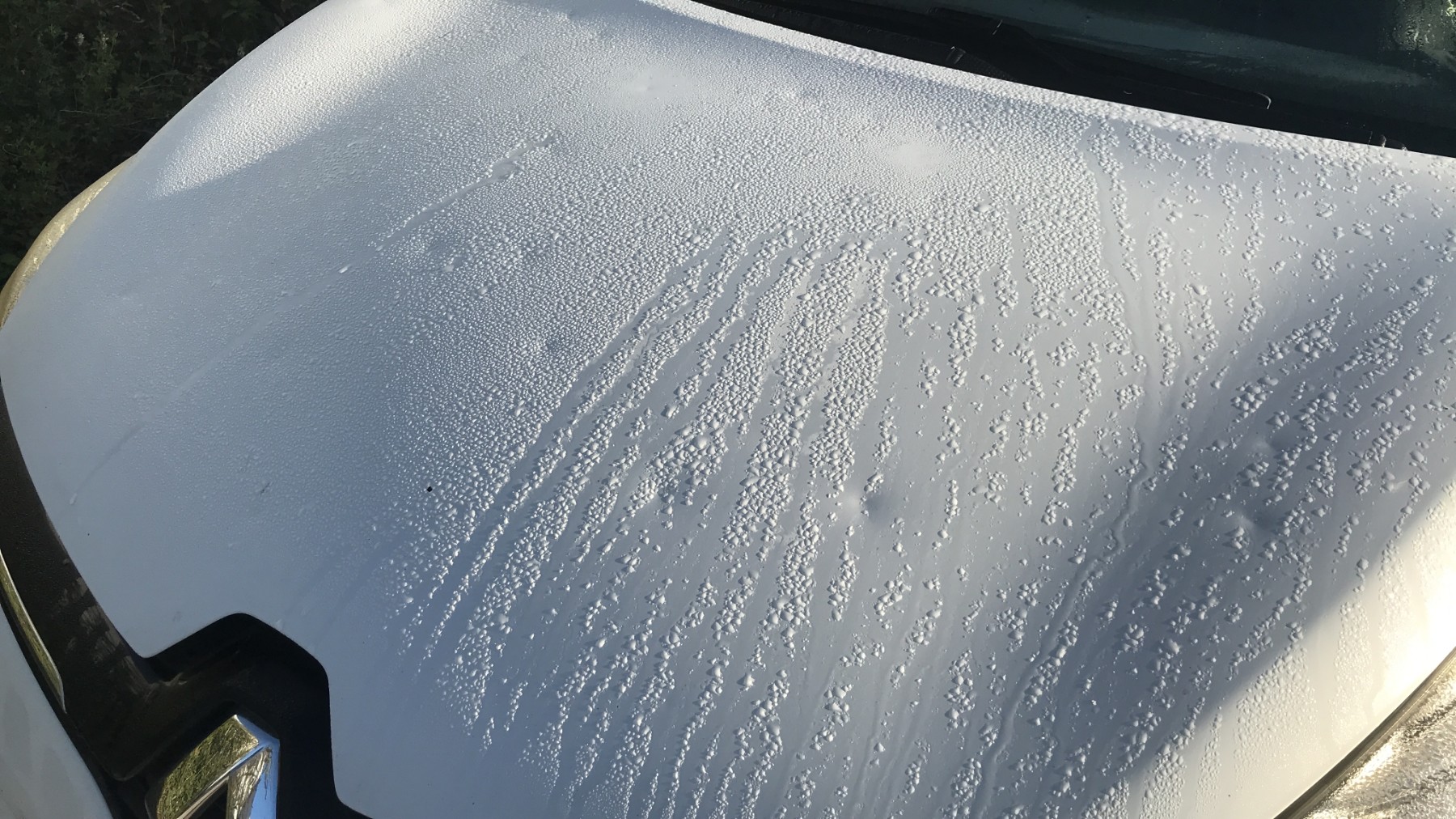 Image RENAULT CLIO 4