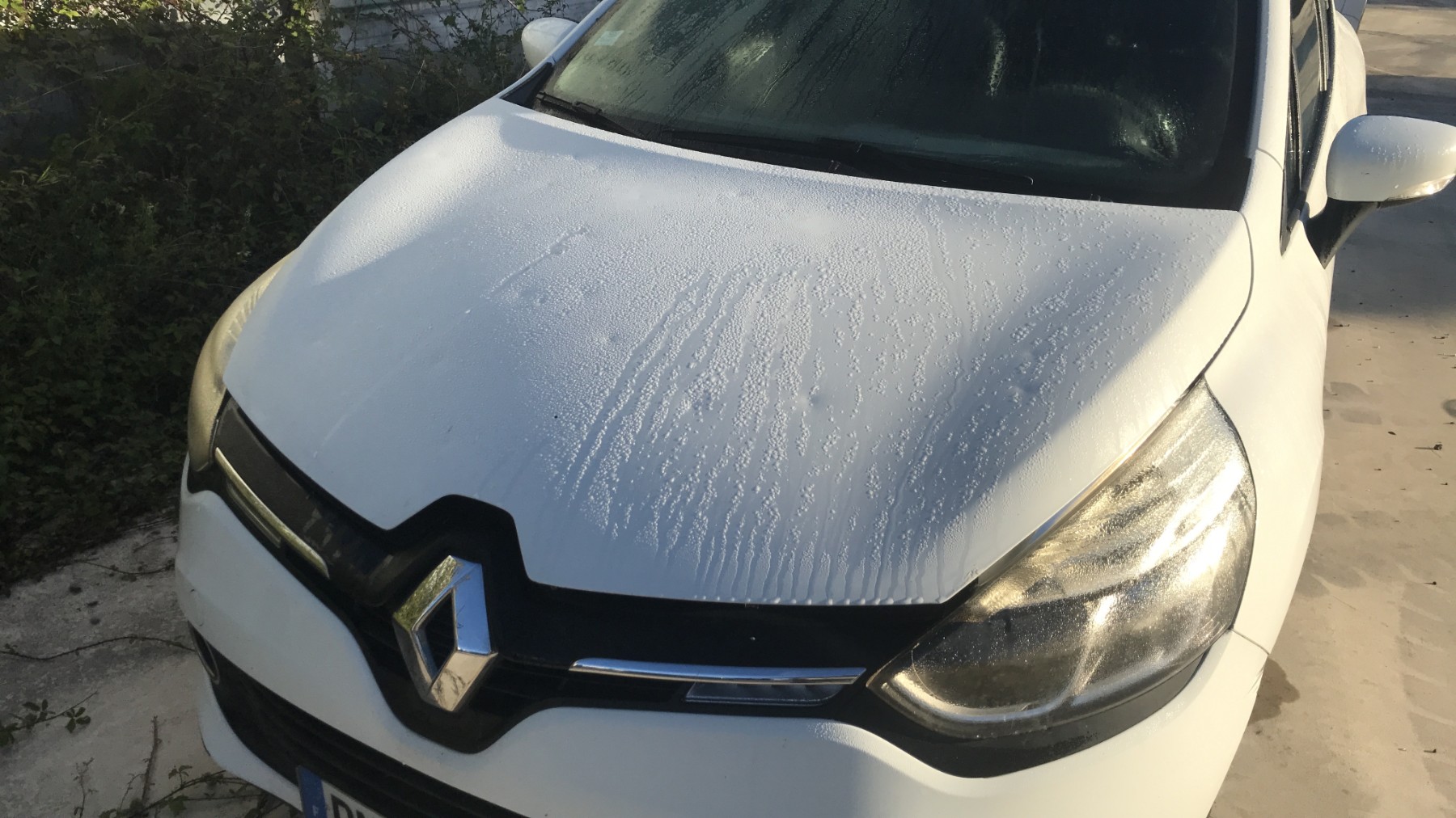 Image RENAULT CLIO 4