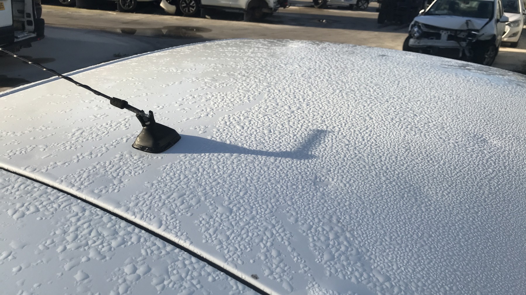 Image RENAULT CLIO 4