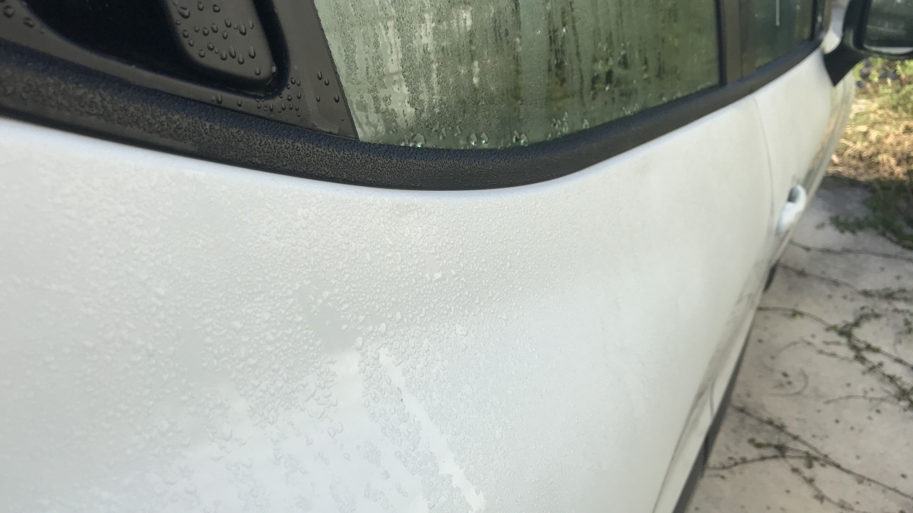 Image RENAULT CLIO 4