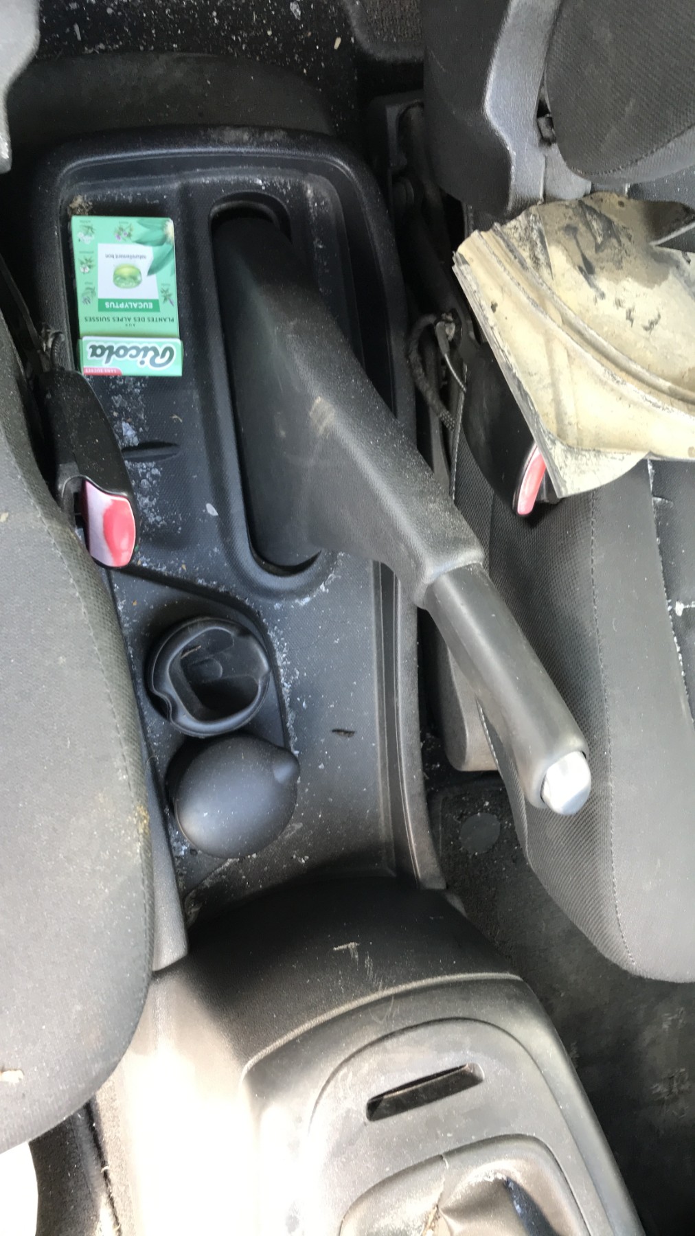 Image RENAULT SCENIC 3