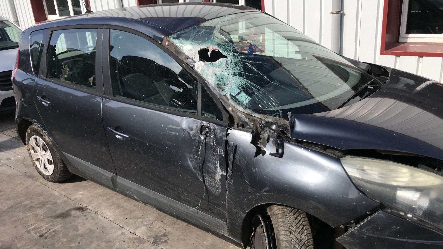 Image RENAULT SCENIC 3