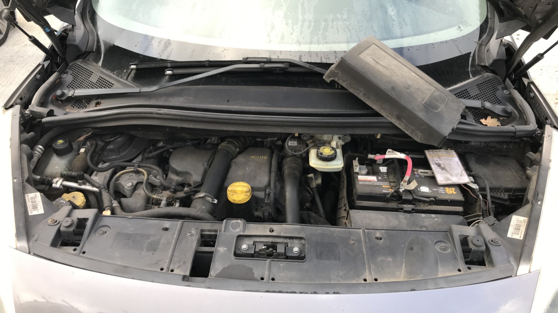 Image RENAULT SCENIC 3
