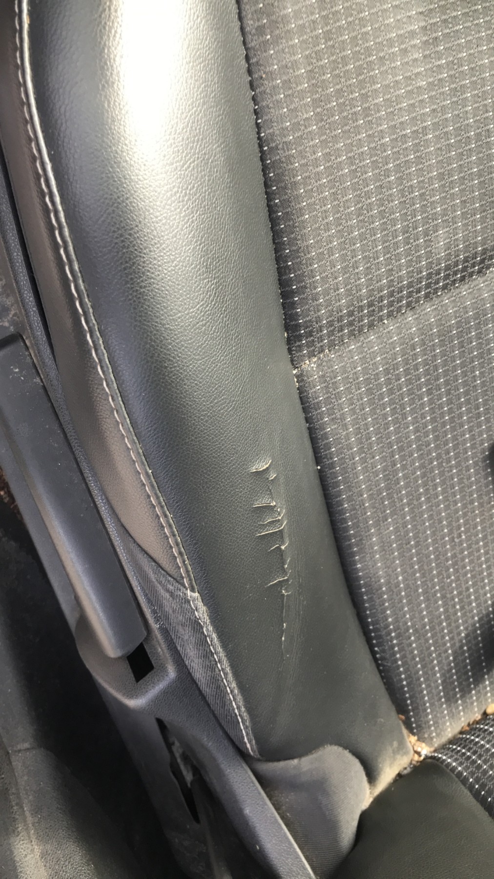 Image RENAULT SCENIC 3