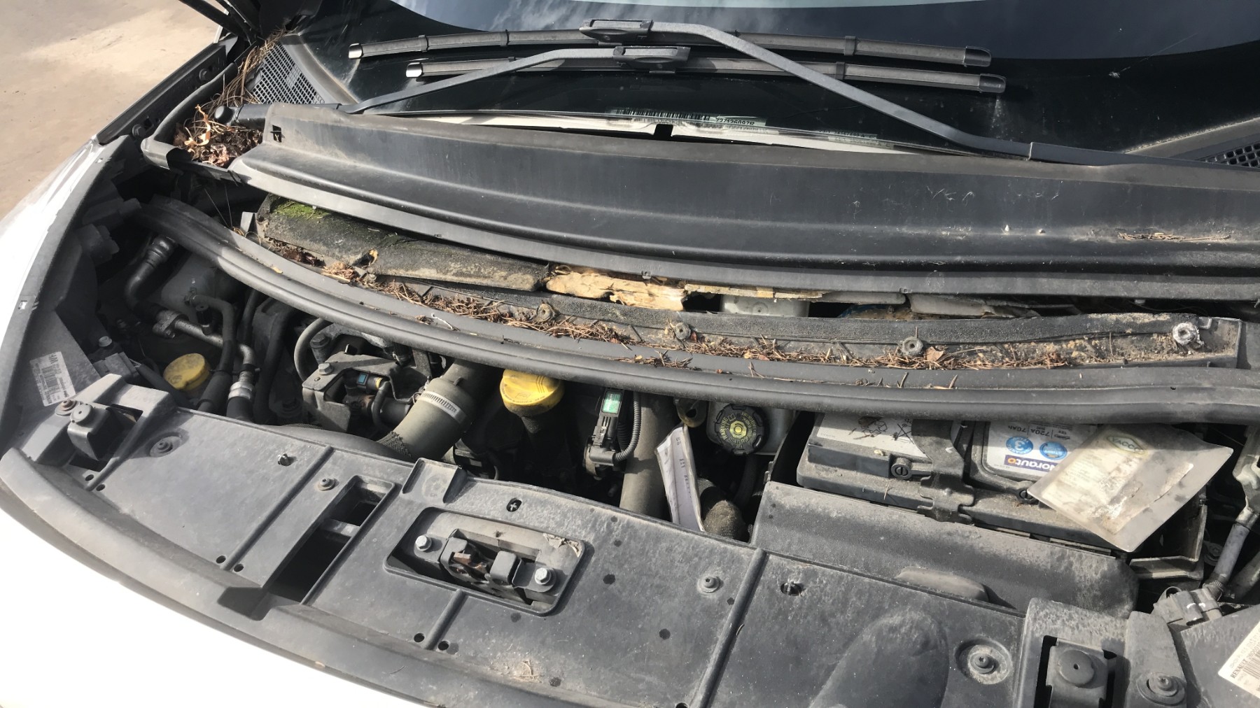 Image RENAULT SCENIC 3