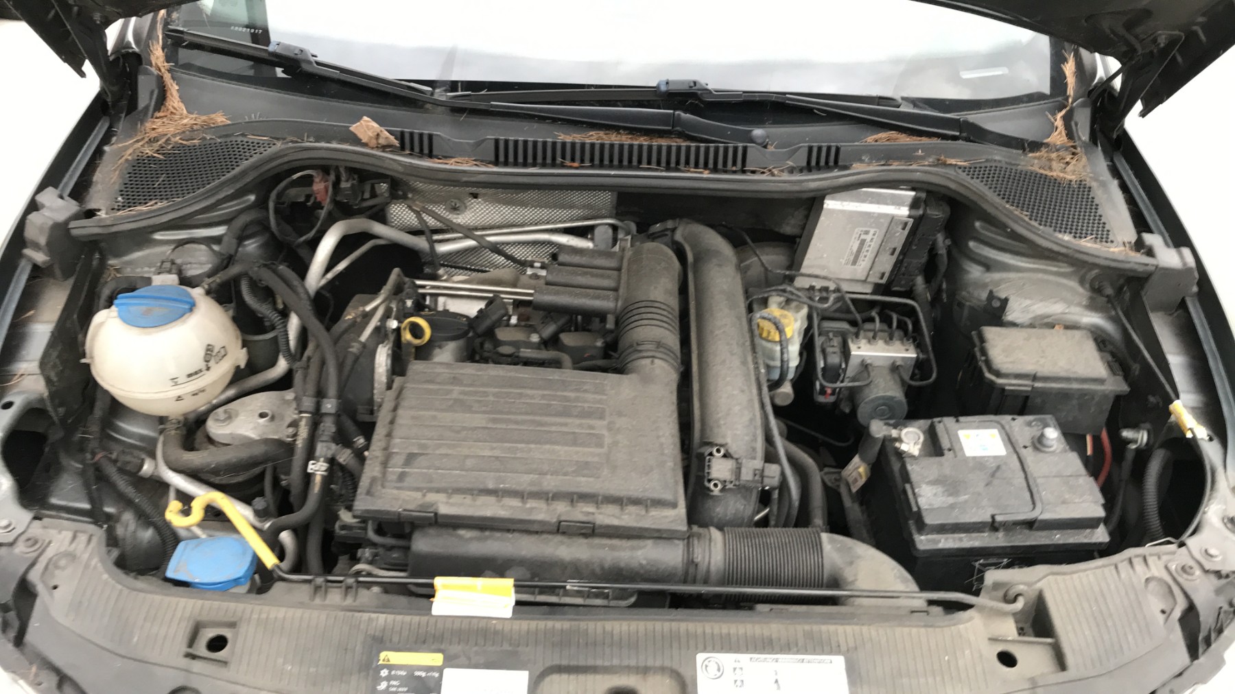 Image SEAT IBIZA 4