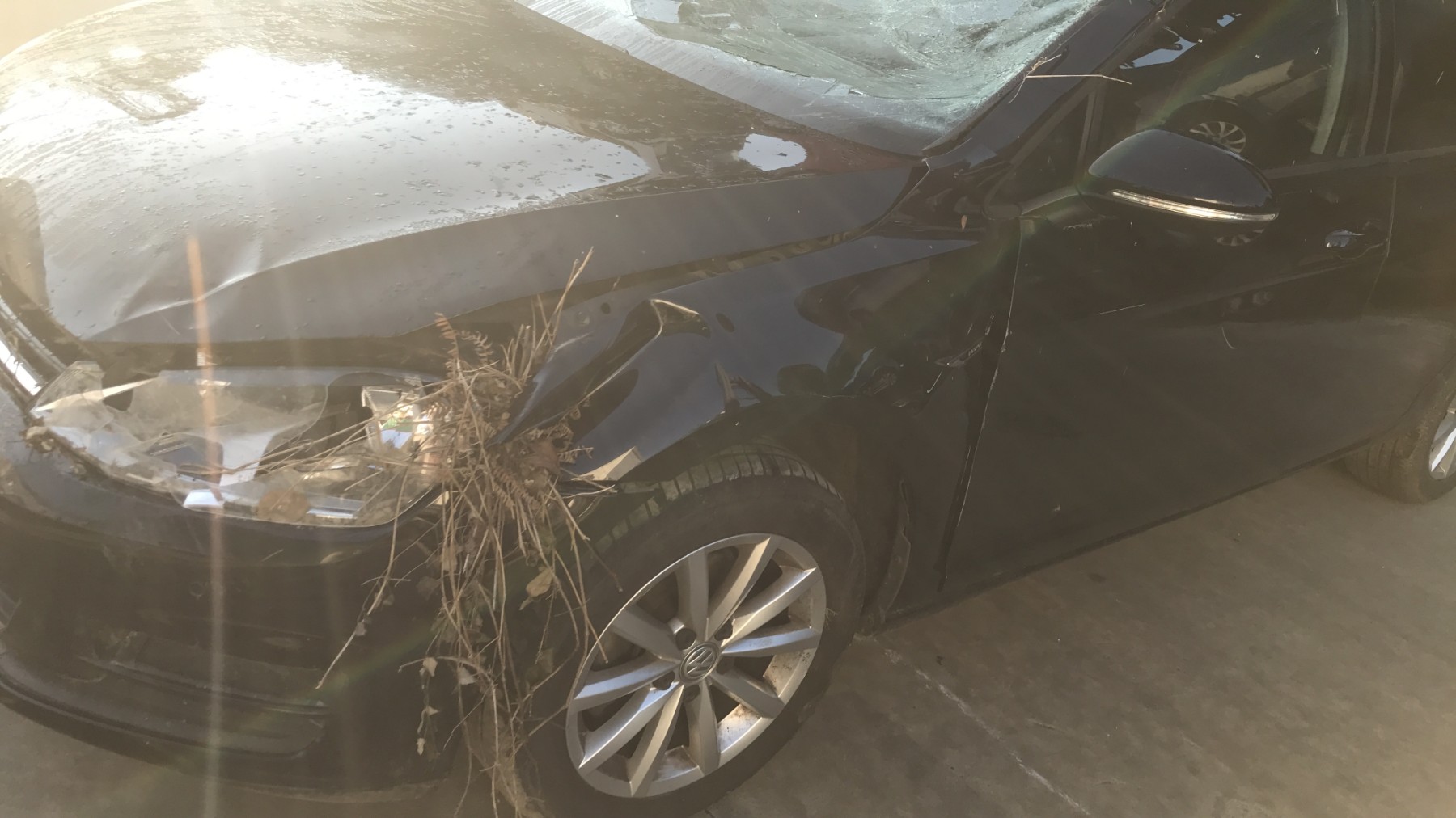Image VOLKSWAGEN GOLF 7