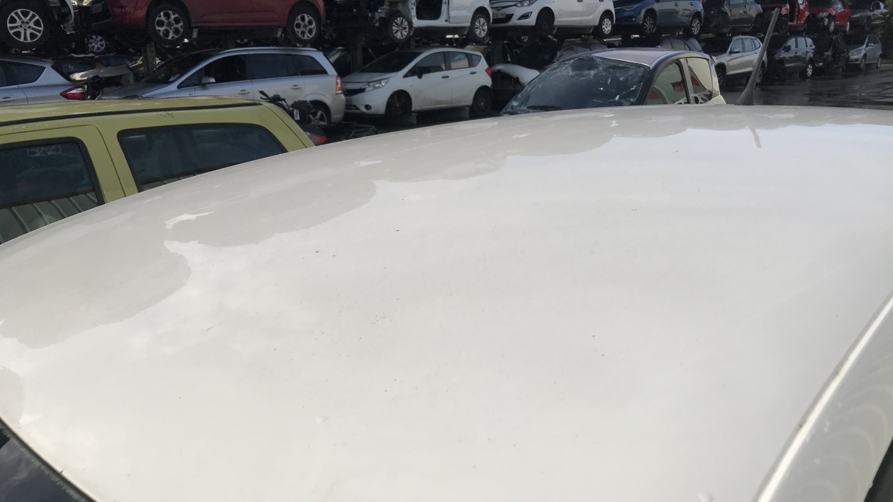 Image VOLKSWAGEN POLO 5