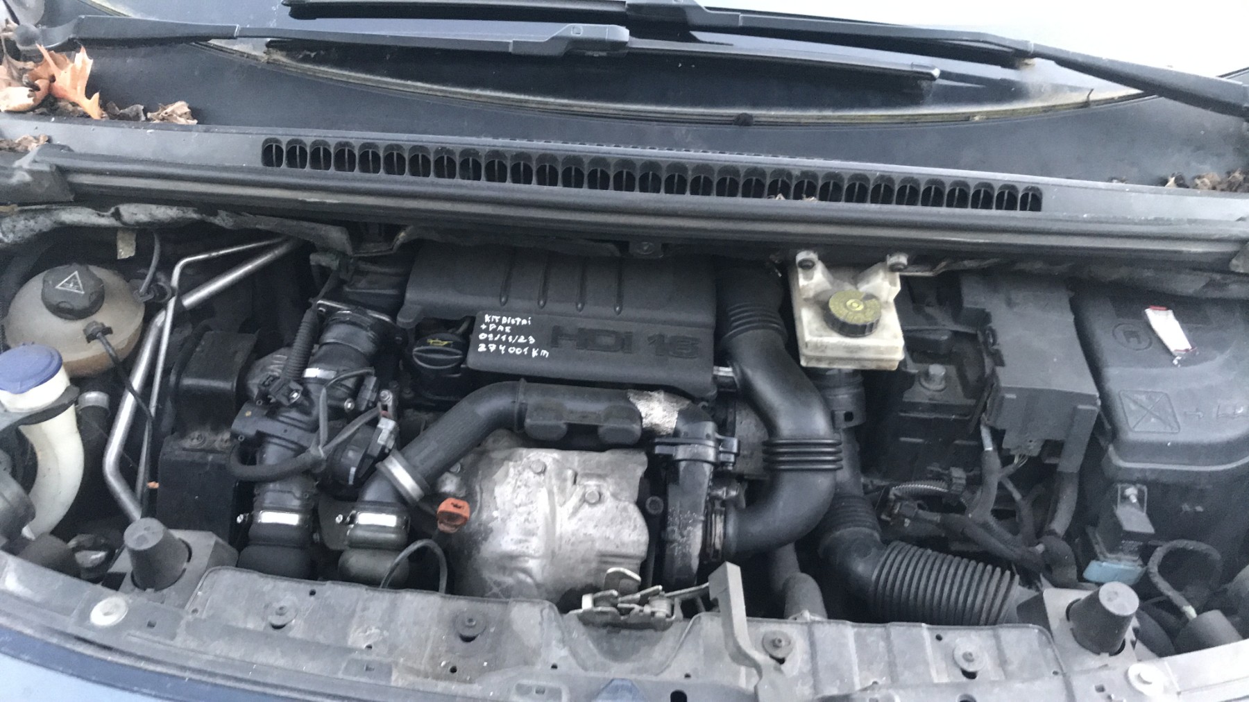 Image PEUGEOT 3008 1