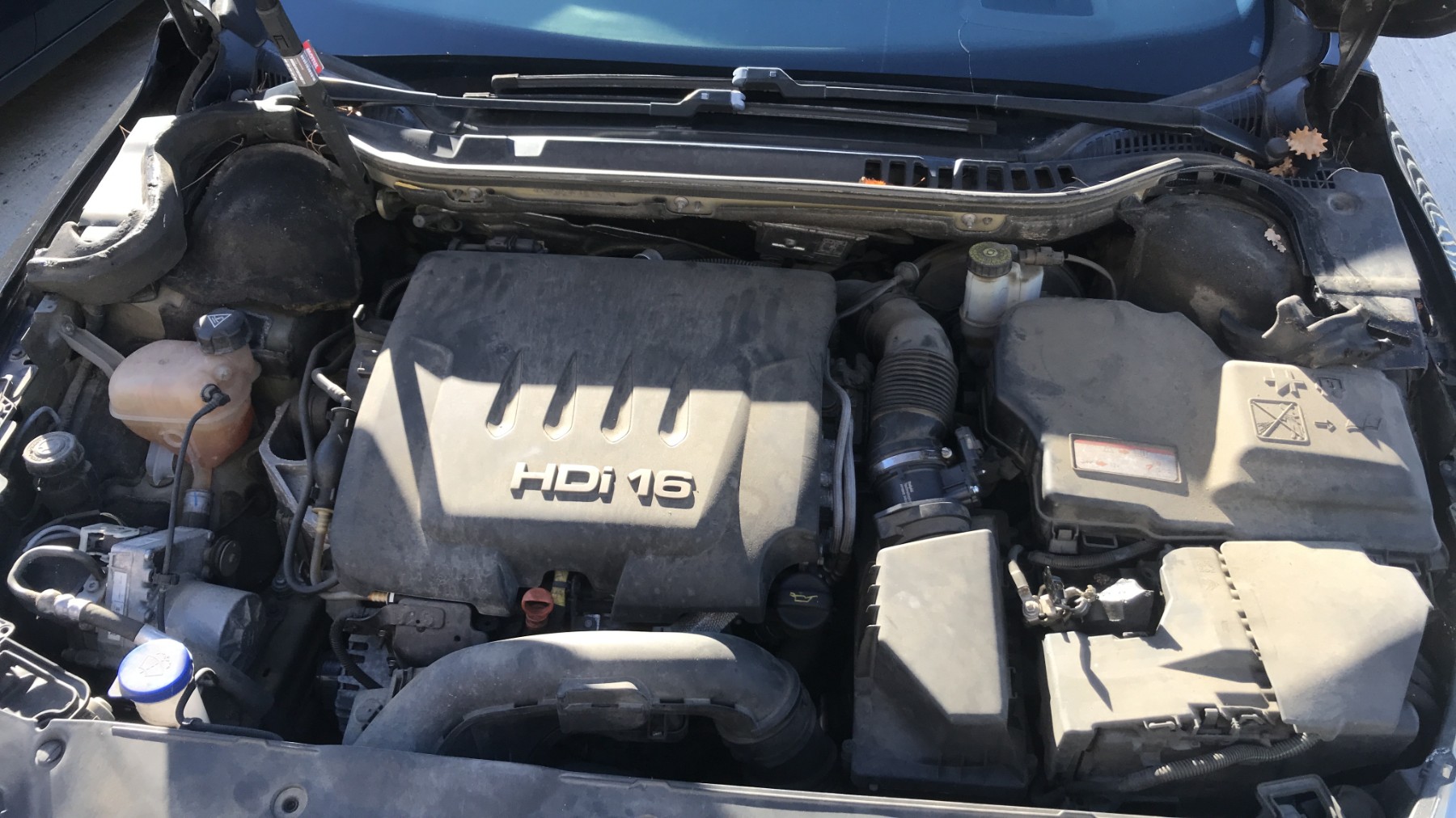 Image PEUGEOT 508 1 SW