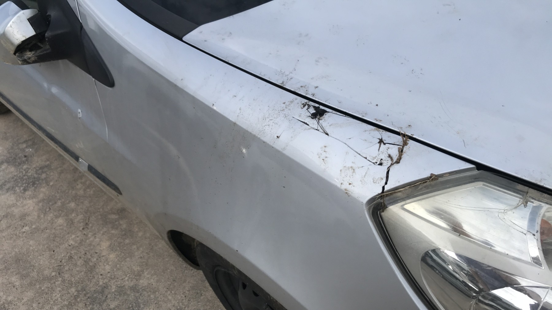 Image RENAULT CLIO 3