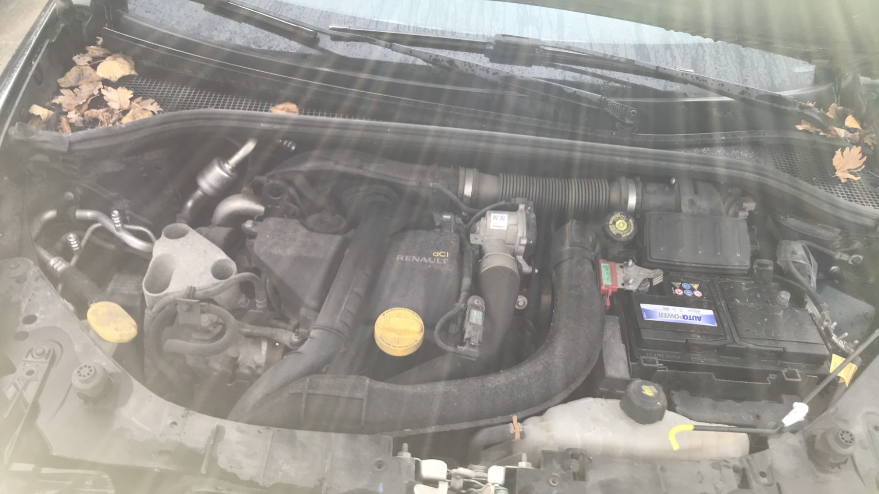 Image RENAULT CLIO 3