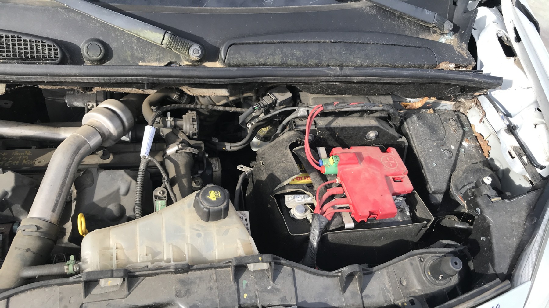 Image RENAULT KANGOO 2