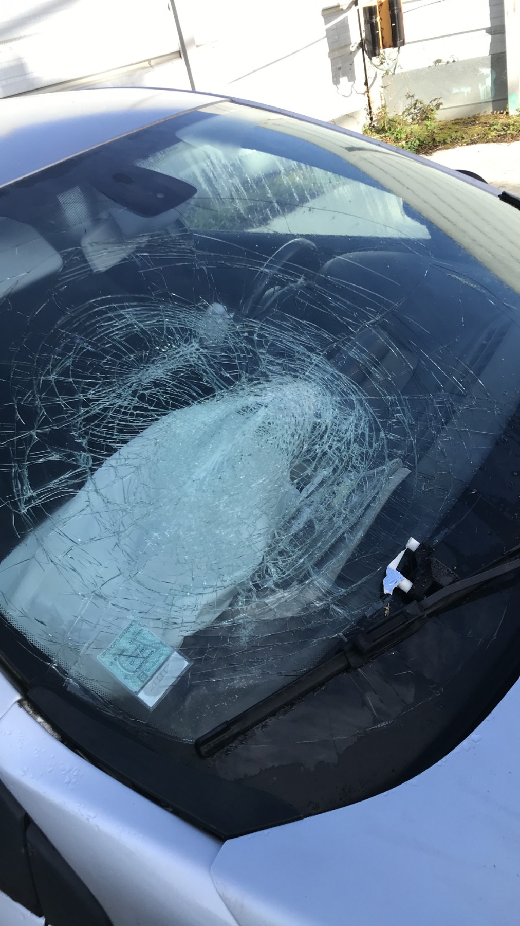 Image RENAULT MEGANE 3