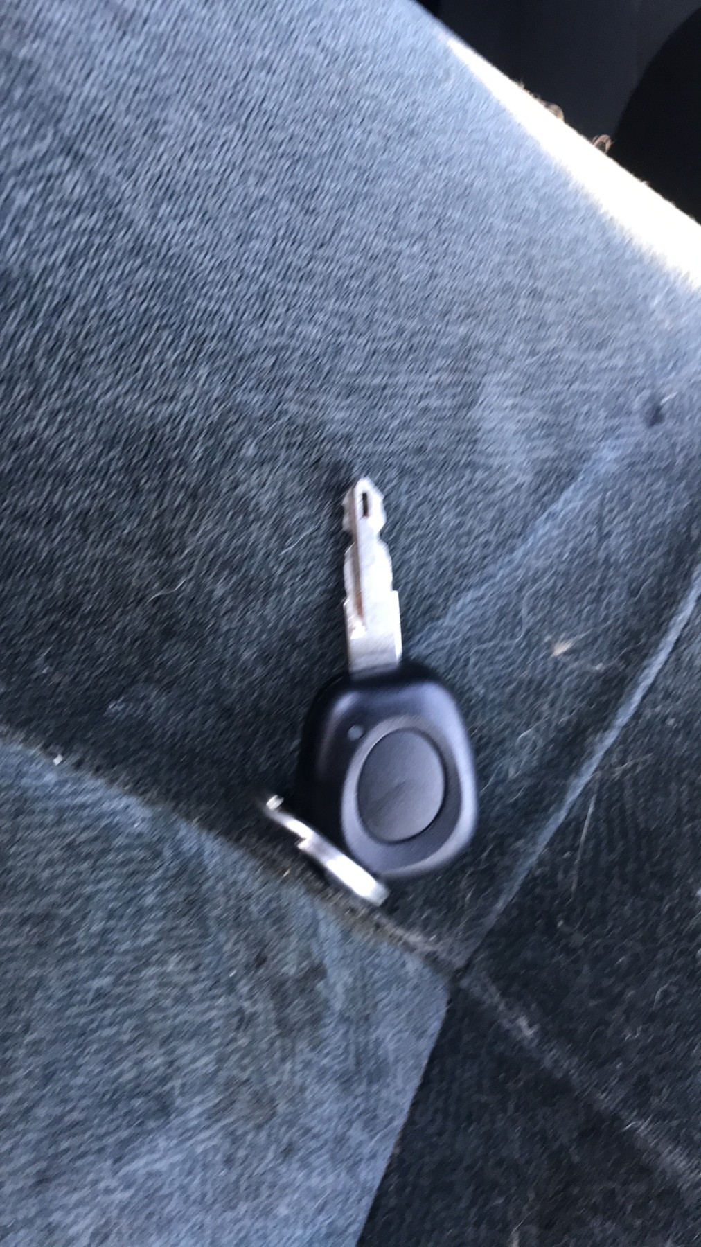 Image RENAULT SCENIC 1