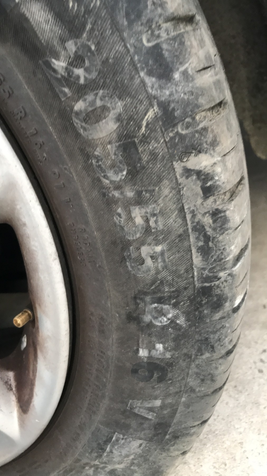 Image RENAULT SCENIC 3