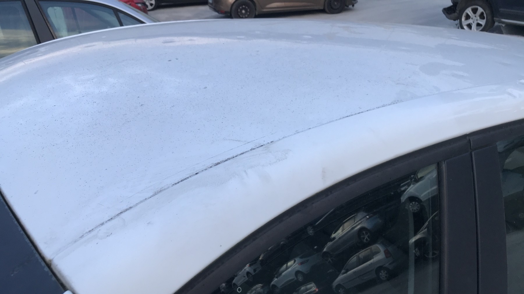 Image RENAULT SCENIC 3