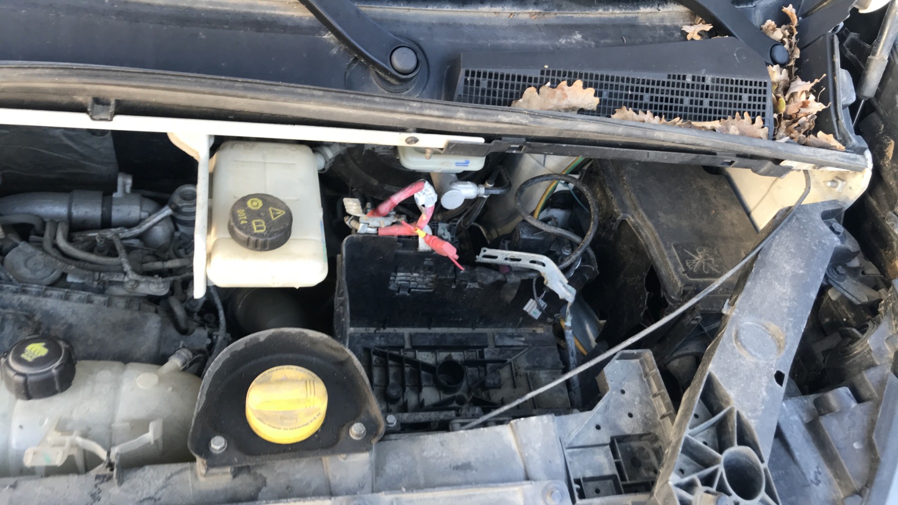 Image RENAULT TRAFIC 3 COURT