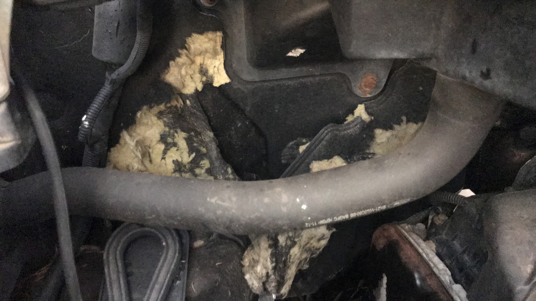 Image FORD TRANSIT CUSTOM 1