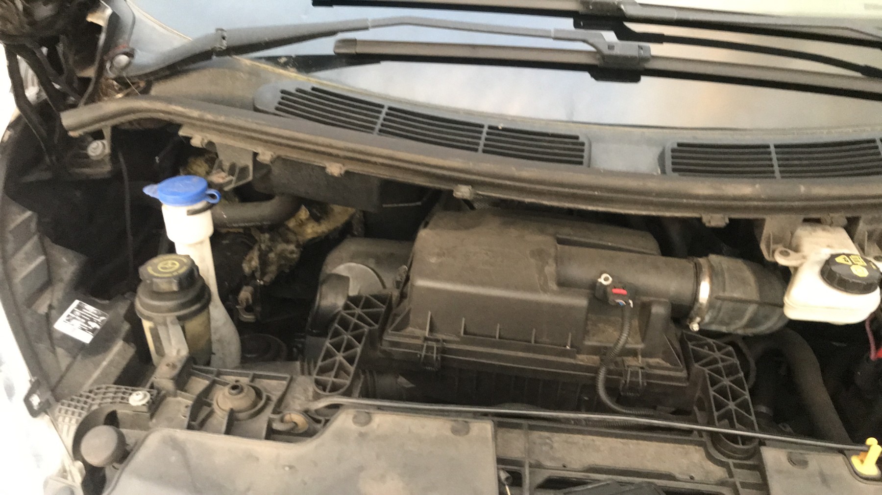 Image FORD TRANSIT CUSTOM 1