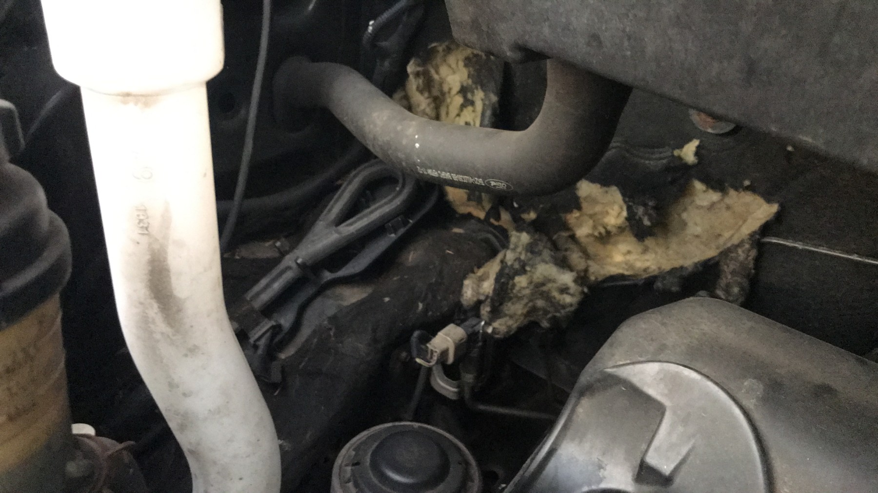 Image FORD TRANSIT CUSTOM 1