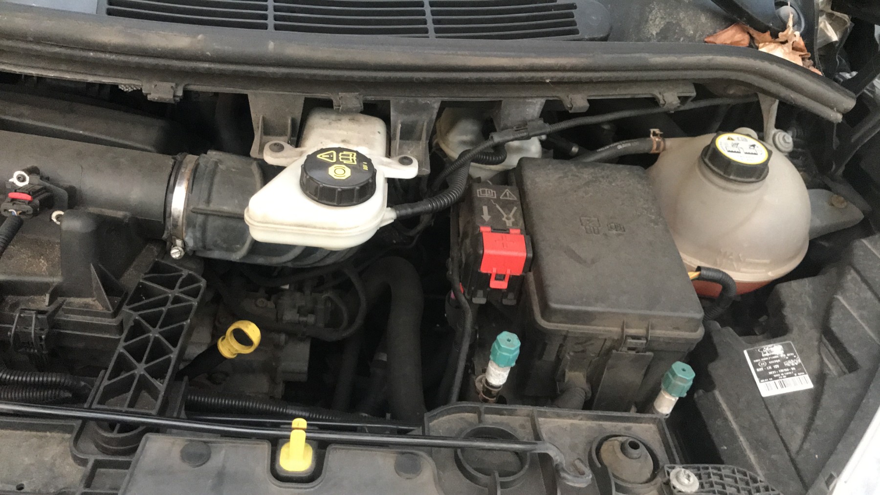 Image FORD TRANSIT CUSTOM 1