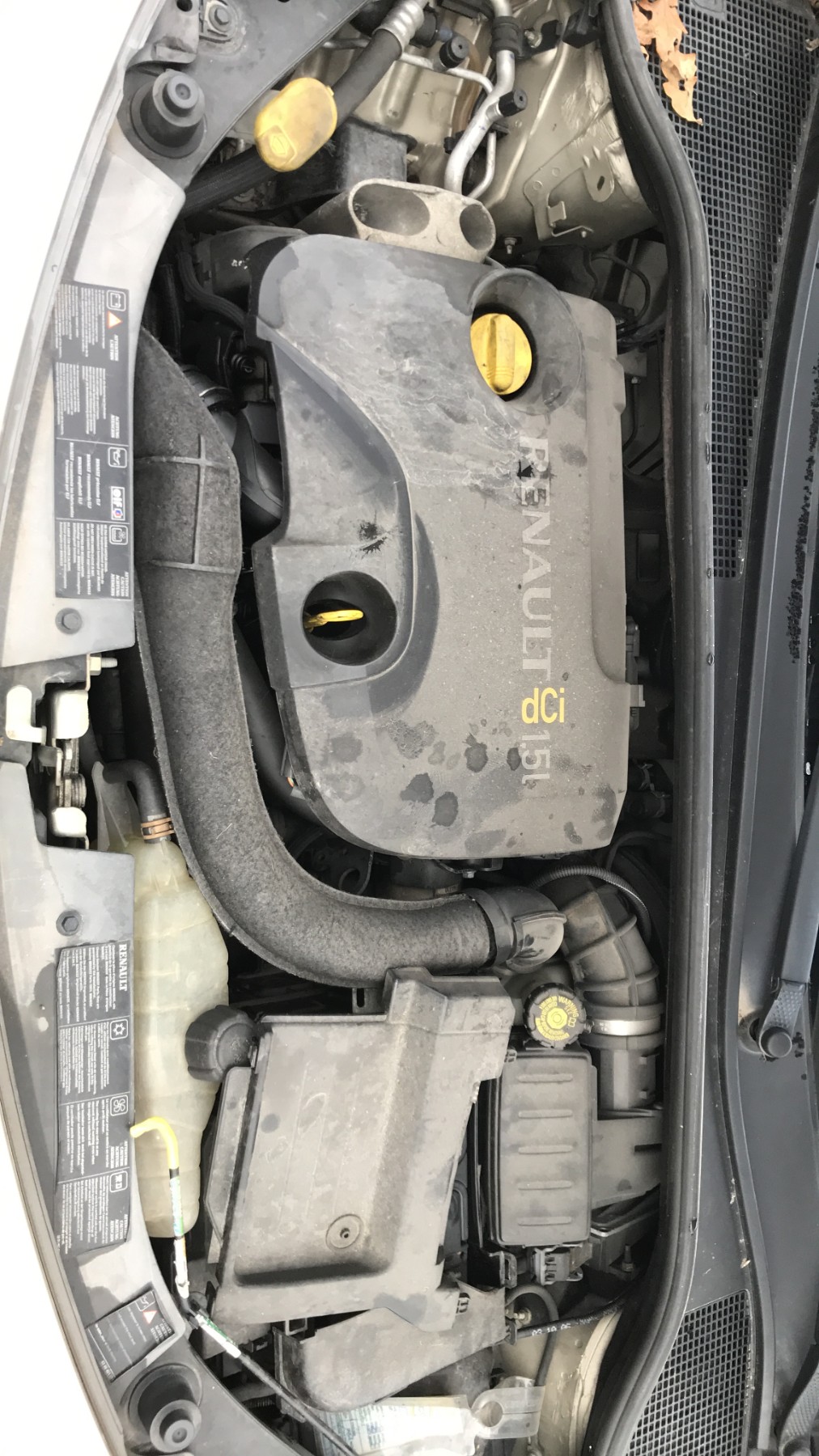 Image RENAULT CLIO 3