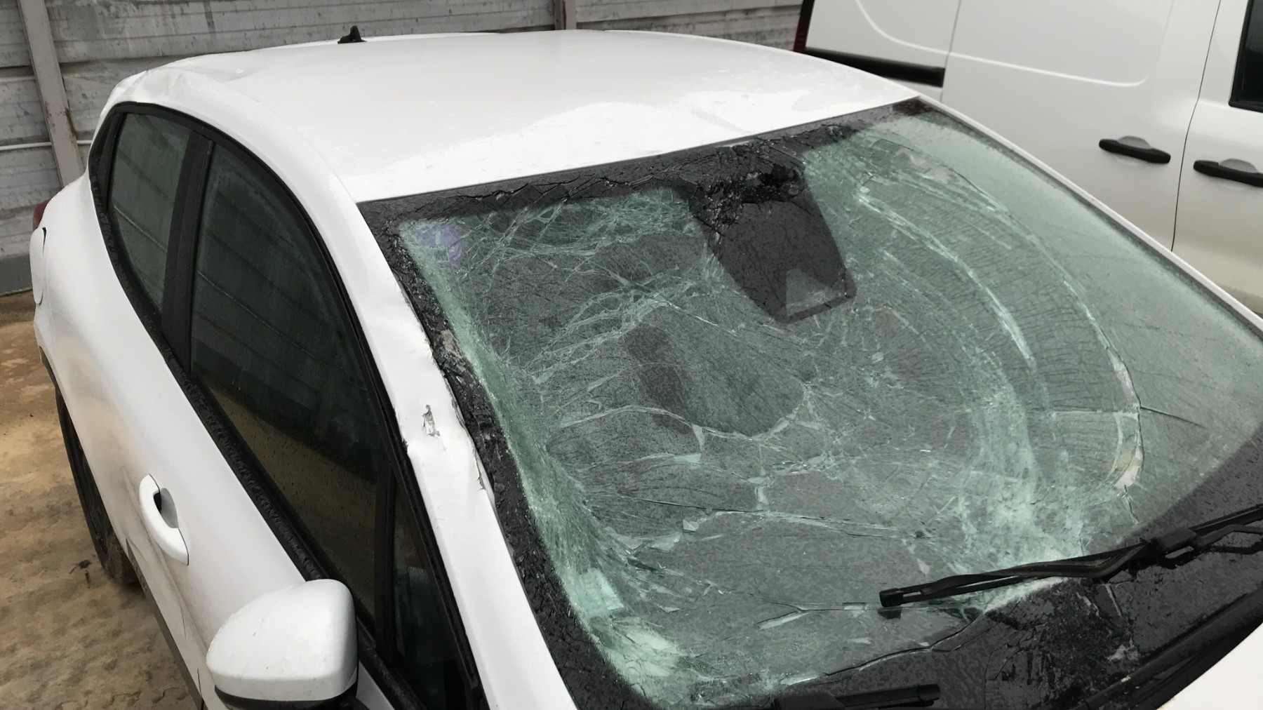 Image RENAULT CLIO 5