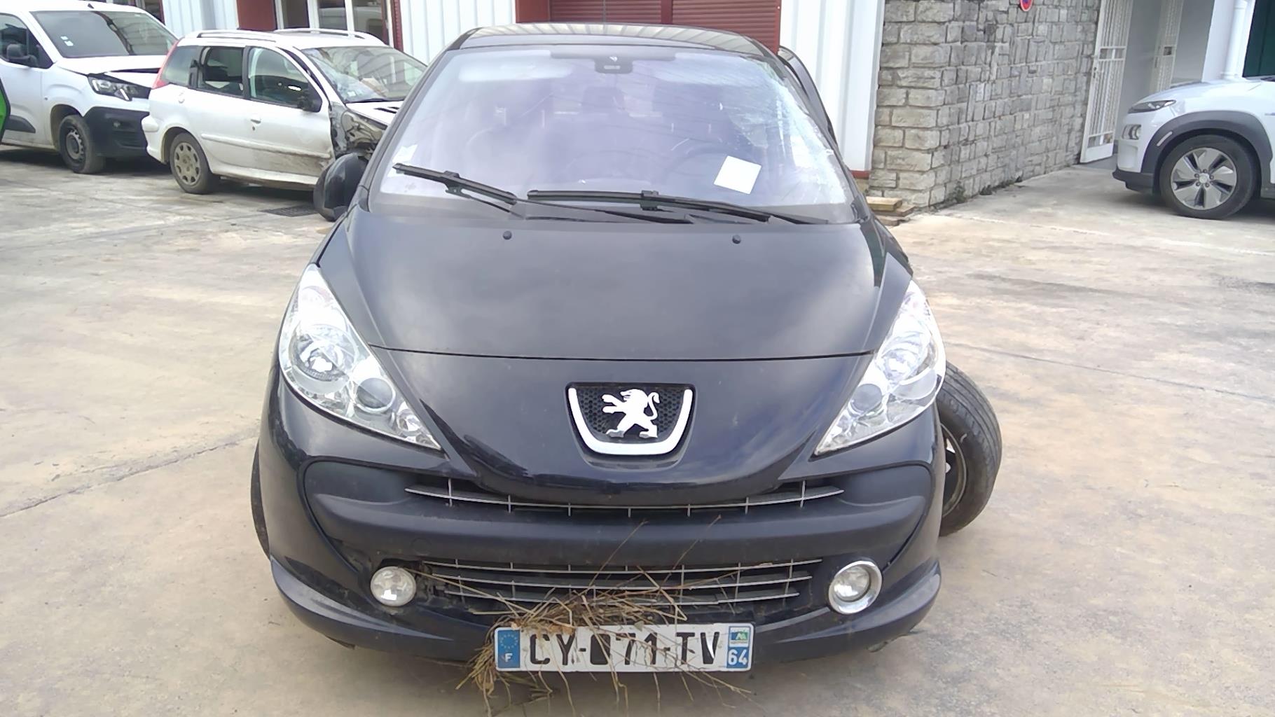 Image PEUGEOT 207