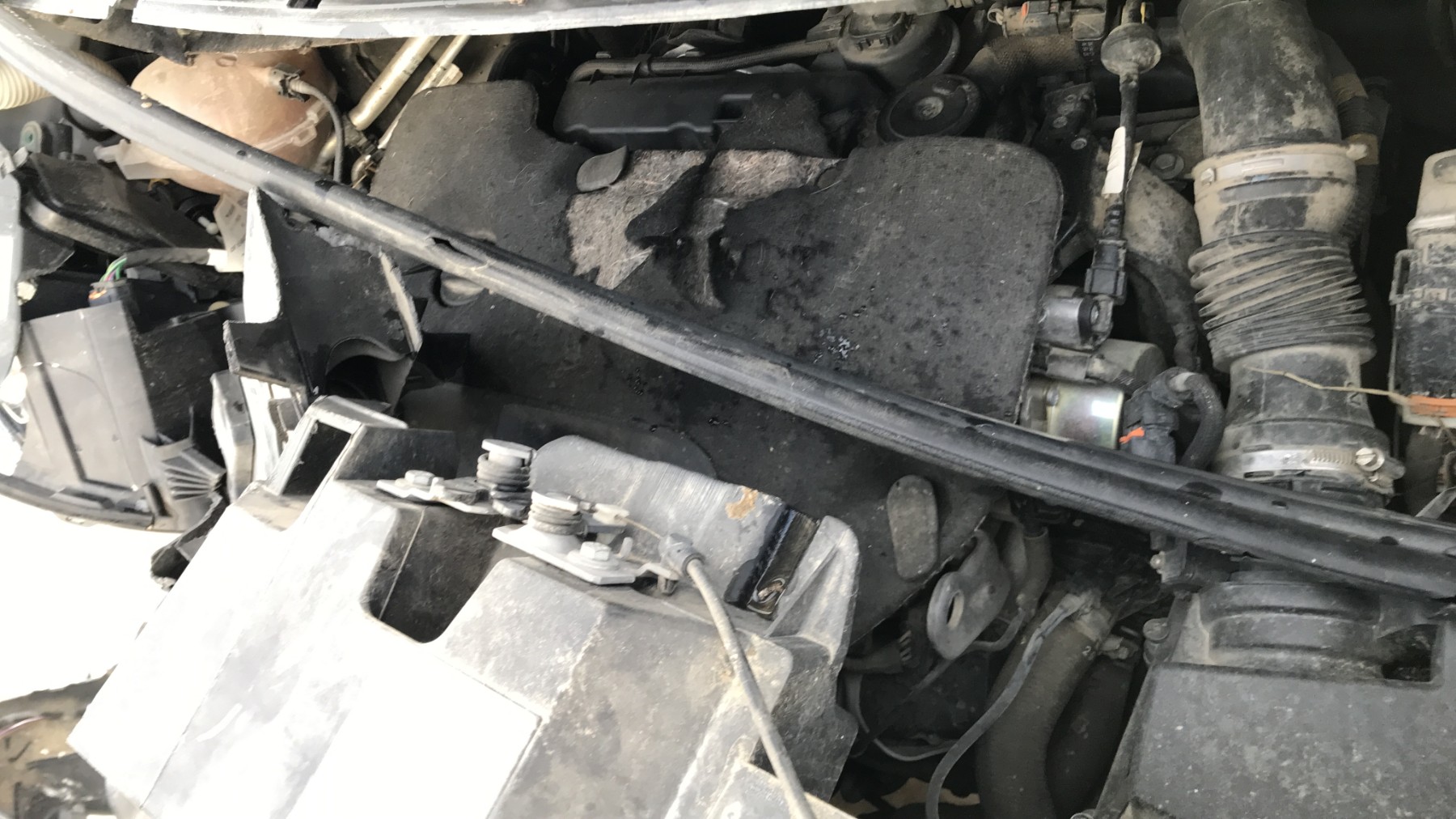 Image PEUGEOT EXPERT 3