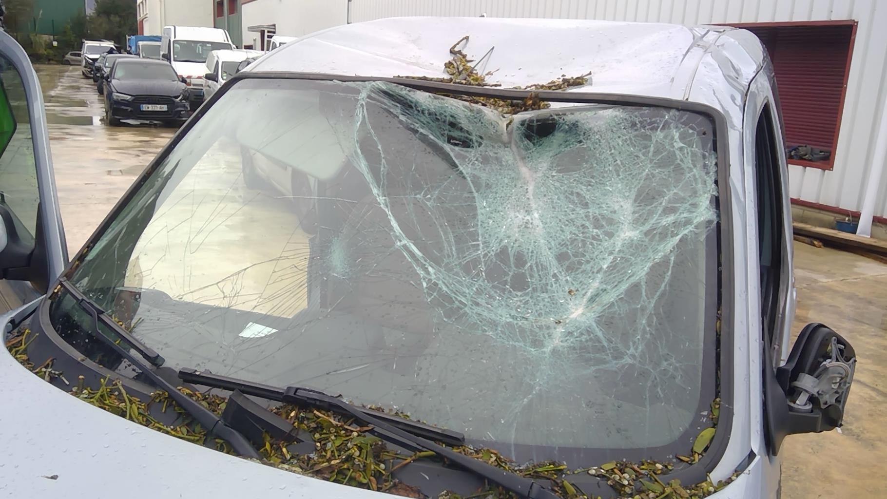 Image PEUGEOT PARTNER 1