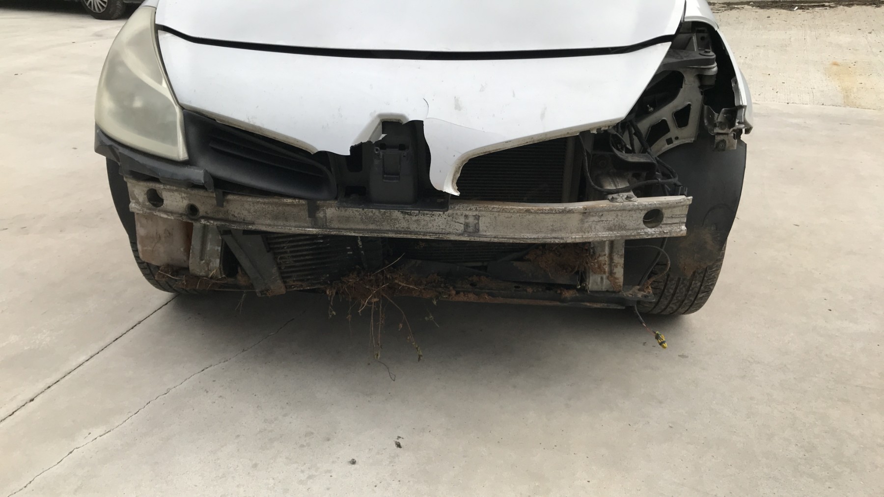 Image RENAULT CLIO 3