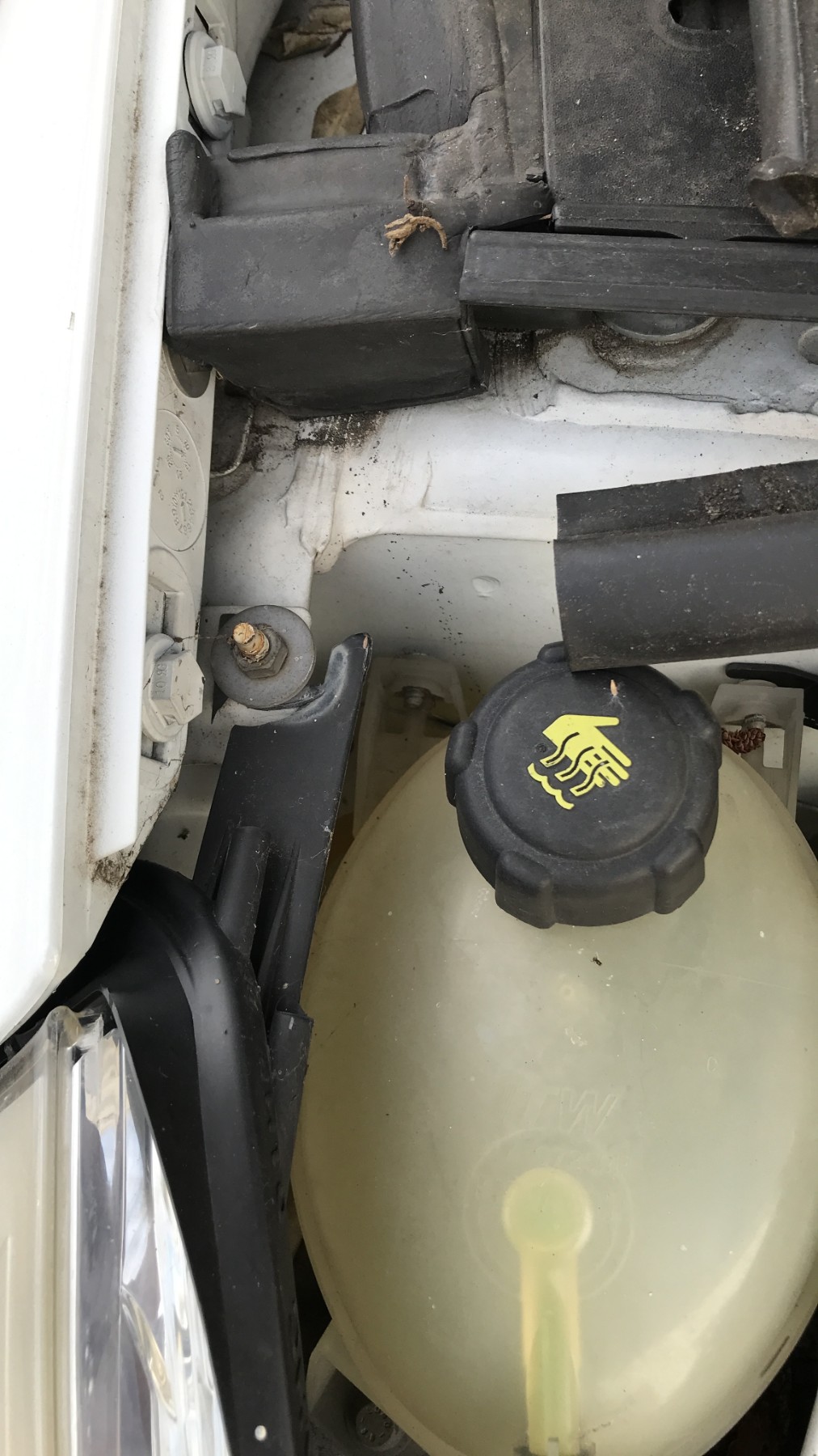 Image RENAULT CLIO 4