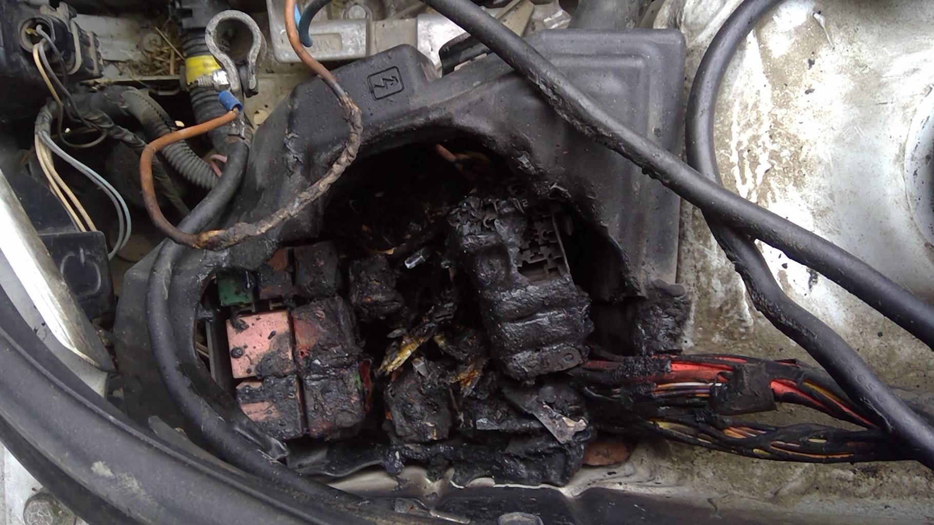 Image RENAULT KANGOO 1