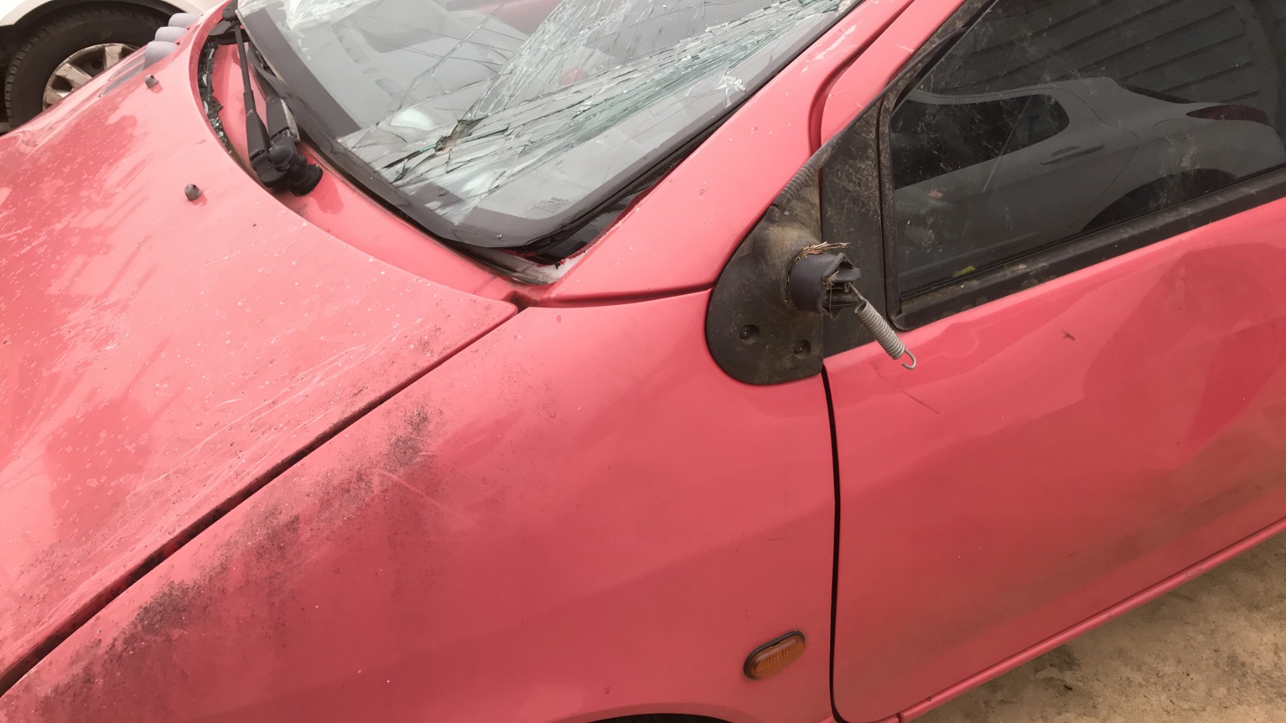 Image RENAULT TWINGO 1