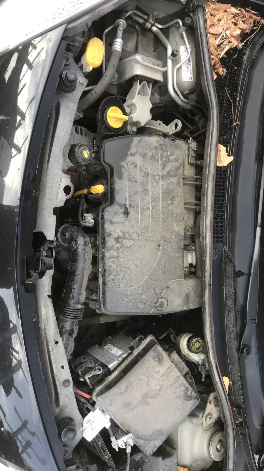 Image RENAULT TWINGO 2