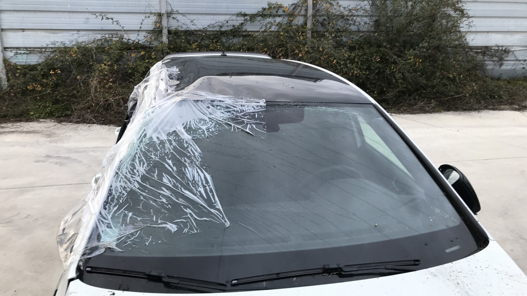 Image VOLKSWAGEN GOLF 7