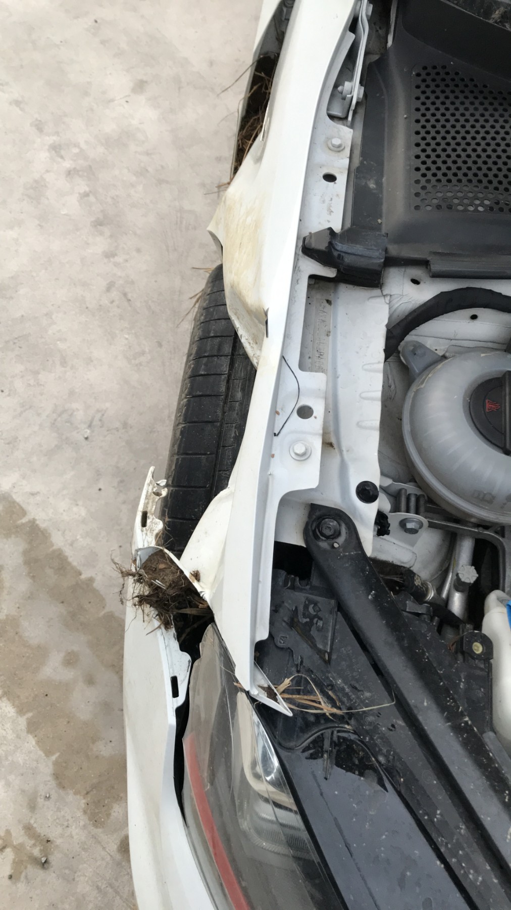 Image VOLKSWAGEN GOLF 7