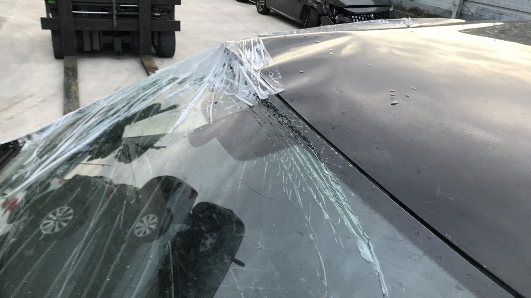 Image VOLKSWAGEN GOLF 7