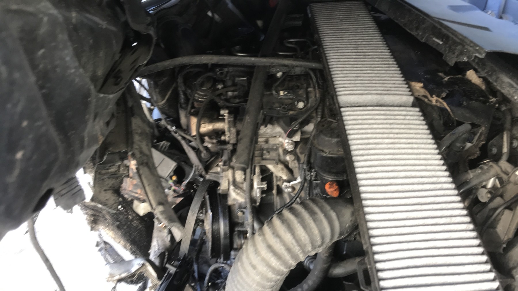 Image BMW SERIE 1 E87